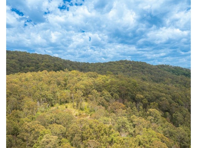 Lot 112/Lot 151 Spokes Road, Ballengarra NSW 2441