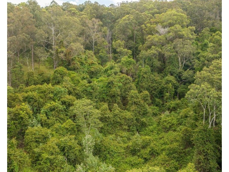 Lot 112/Lot 151 Spokes Road, Ballengarra NSW 2441