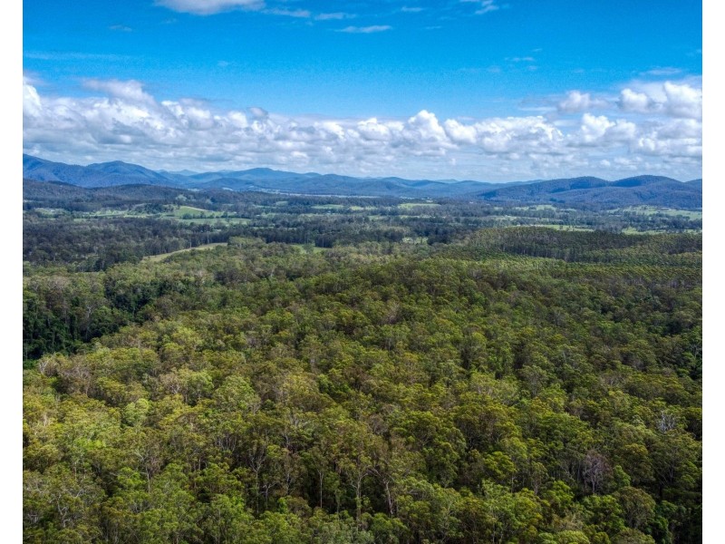 Lot 112/Lot 151 Spokes Road, Ballengarra NSW 2441
