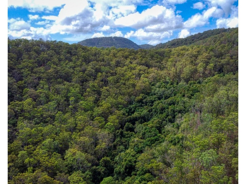 Lot 112/Lot 151 Spokes Road, Ballengarra NSW 2441