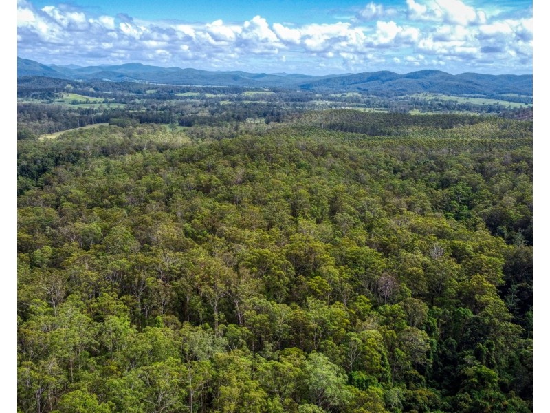 Lot 112/Lot 151 Spokes Road, Ballengarra NSW 2441