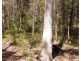 Lot 112/Lot 151 Spokes Road, Ballengarra NSW 2441