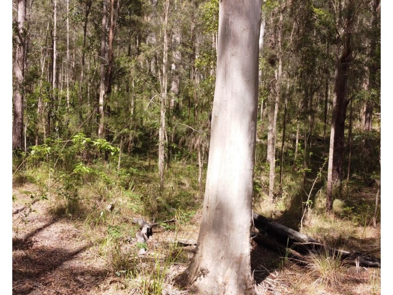 Lot 112/Lot 151 Spokes Road, Ballengarra NSW 2441