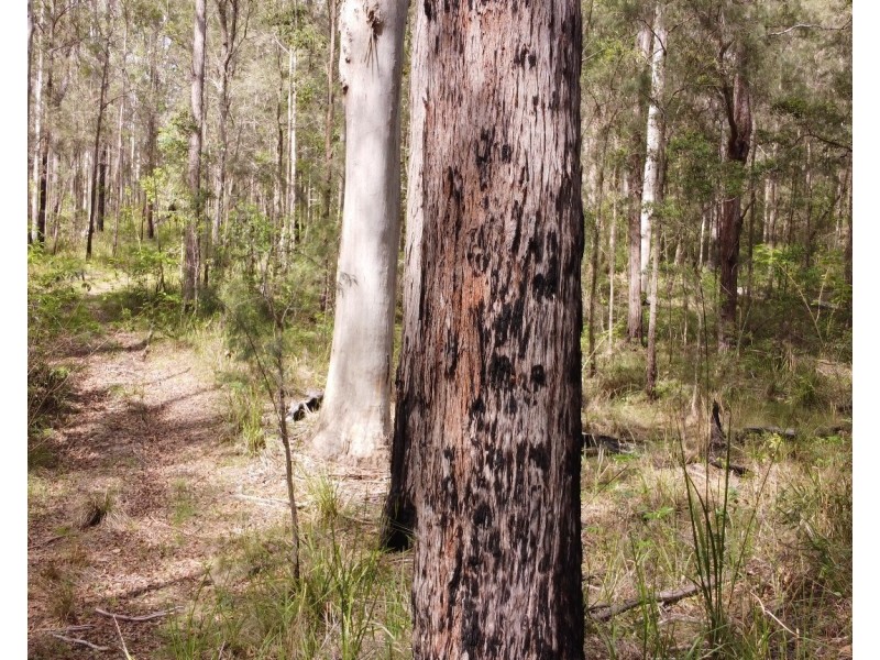 Lot 112/Lot 151 Spokes Road, Ballengarra NSW 2441