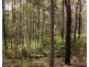 Lot 112/Lot 151 Spokes Road, Ballengarra NSW 2441