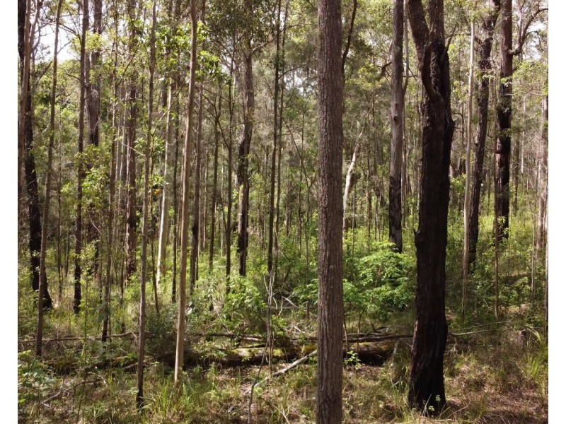 Lot 112/Lot 151 Spokes Road, Ballengarra NSW 2441