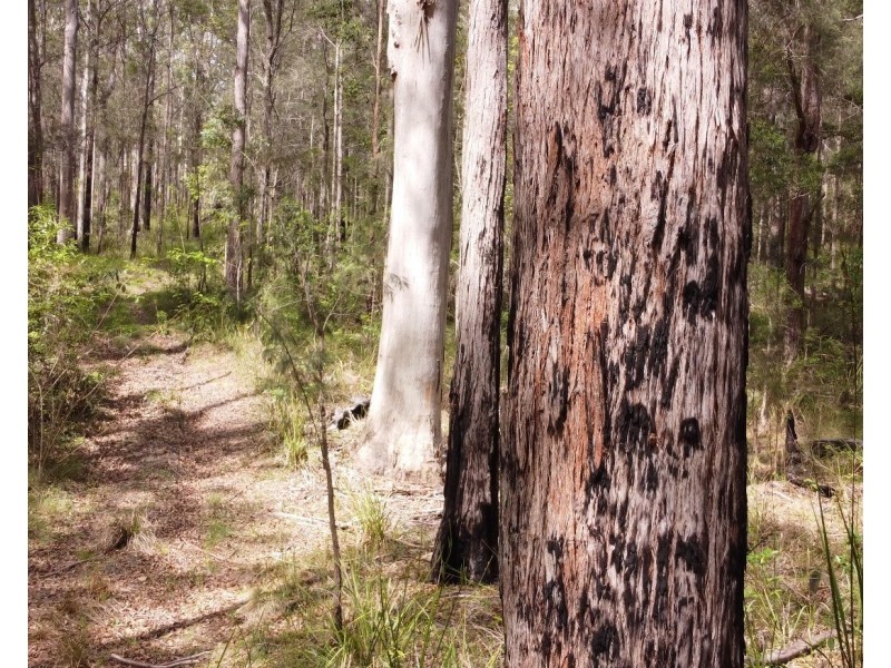 Lot 112/Lot 151 Spokes Road, Ballengarra NSW 2441