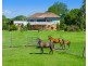 15 Feltons Lane, Hampden Hall NSW 2440