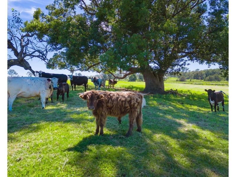 15 Feltons Lane, Hampden Hall NSW 2440