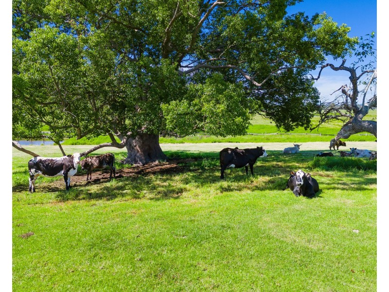 15 Feltons Lane, Hampden Hall NSW 2440