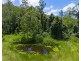 270 Upsalls Creek Road, Upsalls Creek NSW 2439