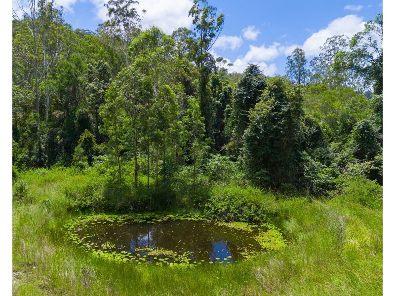 270 Upsalls Creek Road, Upsalls Creek NSW 2439