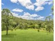 270 Upsalls Creek Road, Upsalls Creek NSW 2439