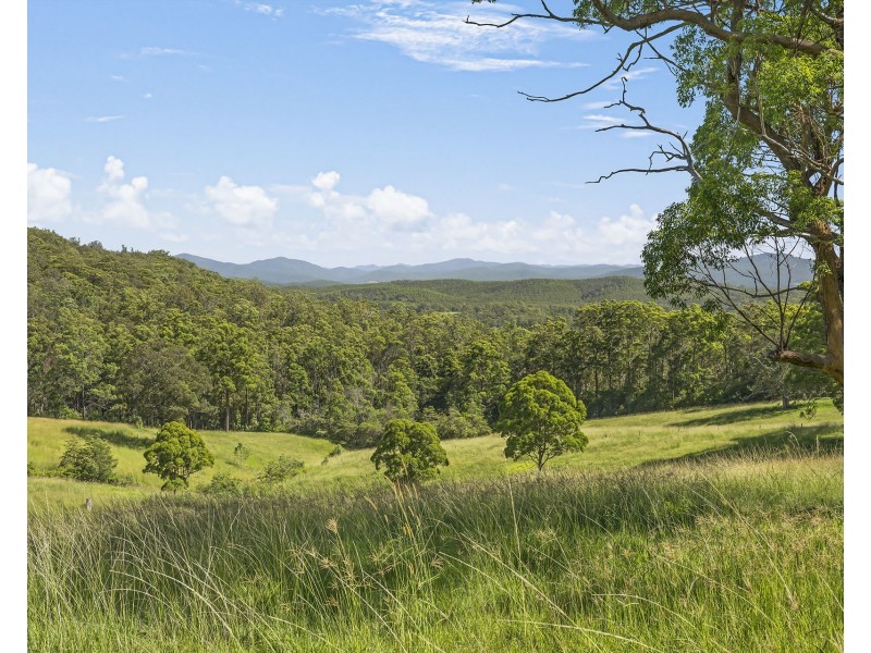1057 Rollands Plains Road, Ballengarra NSW 2441