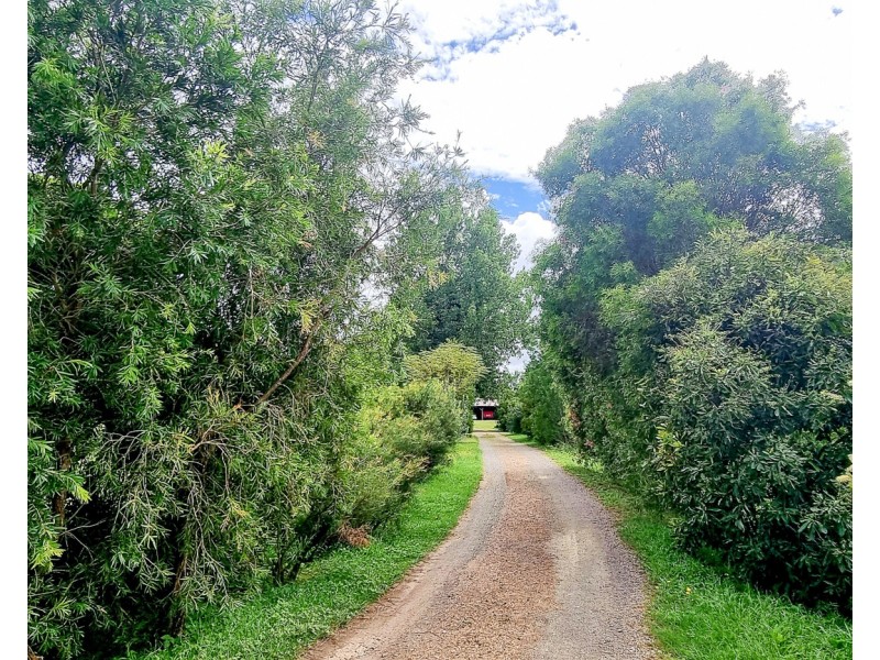 107 Oakes Crescent, Fernbank Creek NSW 2444