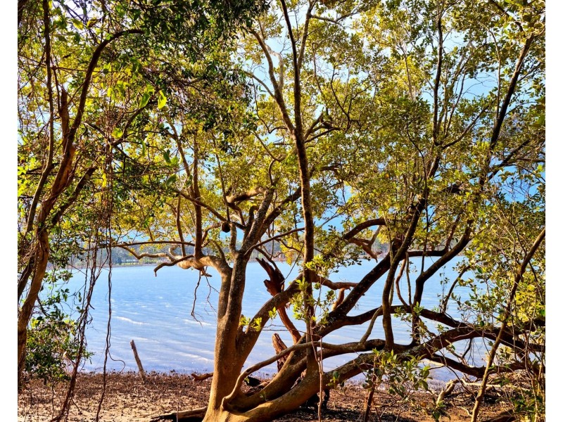 107 Oakes Crescent, Fernbank Creek NSW 2444