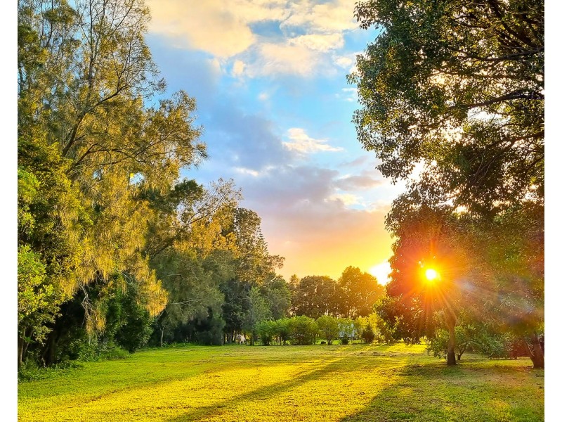 107 Oakes Crescent, Fernbank Creek NSW 2444