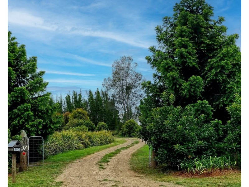 107 Oakes Crescent, Fernbank Creek NSW 2444