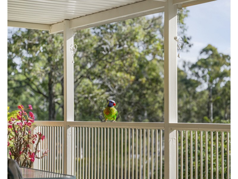 20 Banyule Place, Sancrox NSW 2446