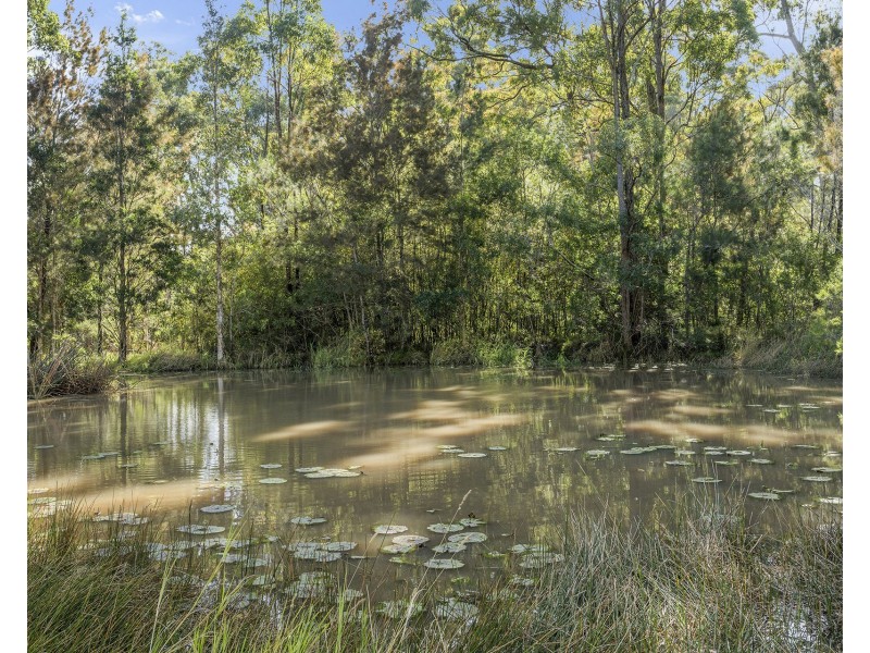 20 Banyule Place, Sancrox NSW 2446