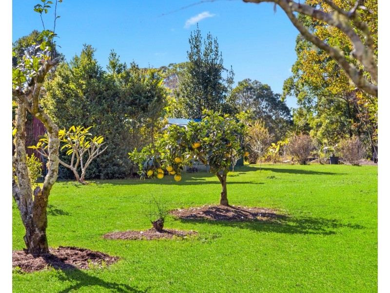 330 Redbank Road, Redbank NSW 2446