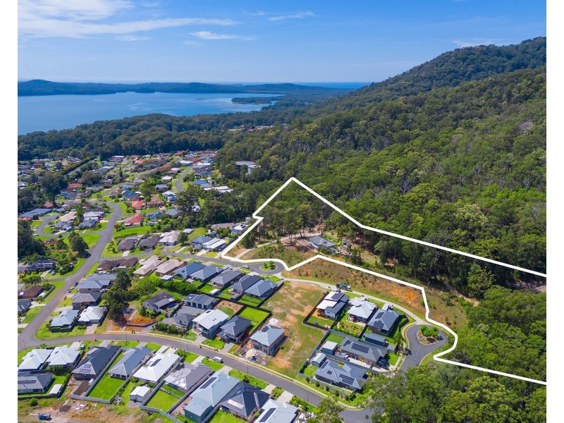 17 Bronzewing Terrace, Lakewood NSW 2443