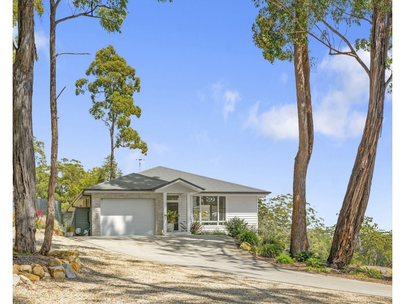 17 Bronzewing Terrace, Lakewood NSW 2443