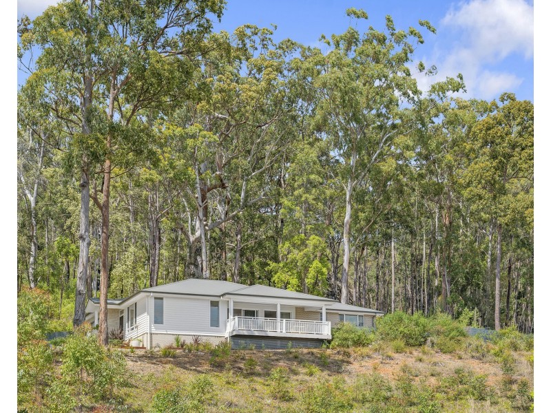 17 Bronzewing Terrace, Lakewood NSW 2443