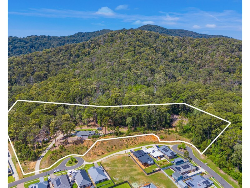 17 Bronzewing Terrace, Lakewood NSW 2443