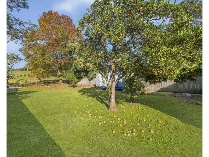 5017 Oxley Highway, Long Flat NSW 2446