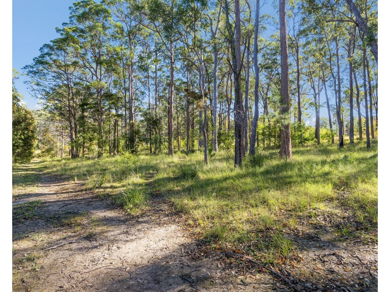 60 Rodeo Drive, Kundabung NSW 2441