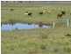 172 Everinghams Lane, Frederickton NSW 2440