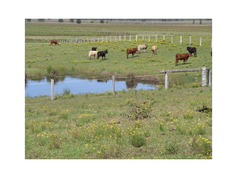 172 Everinghams Lane, Frederickton NSW 2440