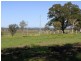 172 Everinghams Lane, Frederickton NSW 2440