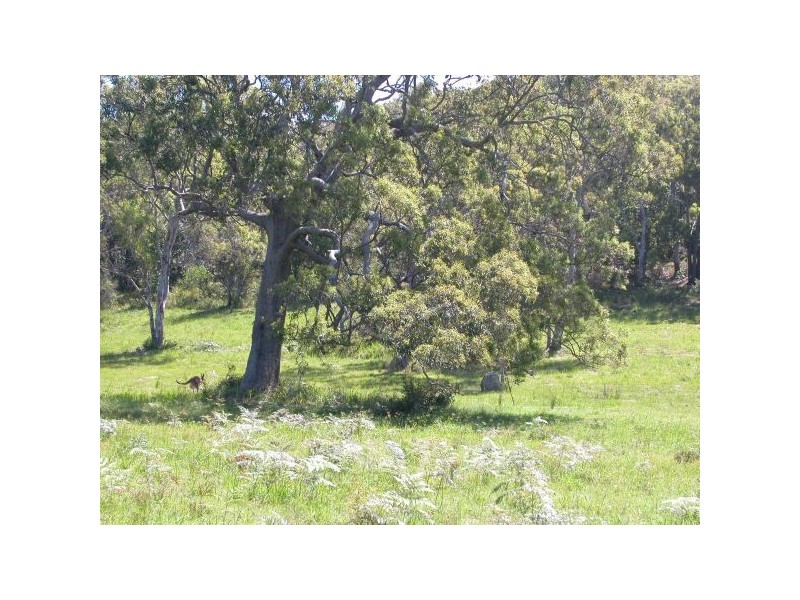 Lot 1, Lot 2 Loftus Road, Crescent Head NSW 2440