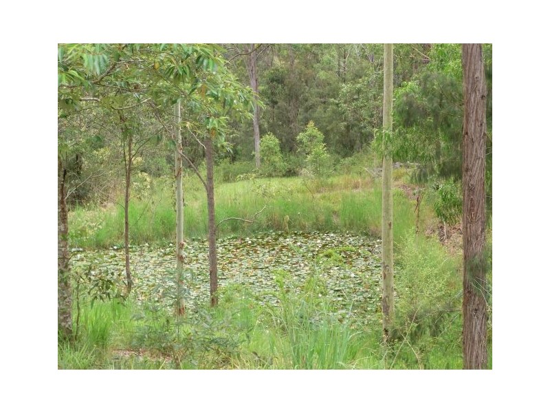 746 Pipers Creek Road, Dondingalong NSW 2440