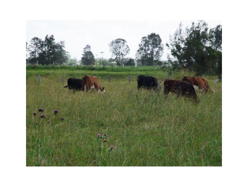 158 Goulds Lane, Clybucca NSW 2440