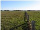 Bellimbopinni NSW 2440