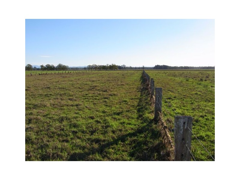 Bellimbopinni NSW 2440