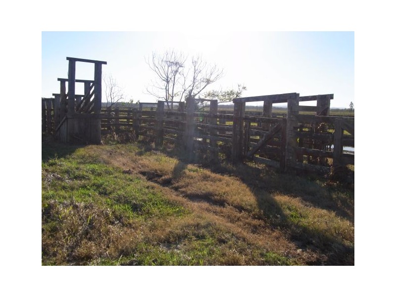Bellimbopinni NSW 2440