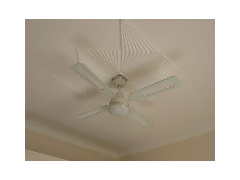 10 Holman Street, Kempsey NSW 2440