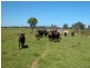 210 Menarcobrinni Road, Clybucca NSW 2440