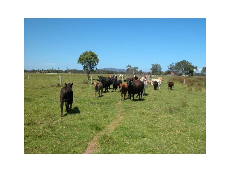 210 Menarcobrinni Road, Clybucca NSW 2440