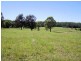 Lot 1151 Collombatti Road, Collombatti NSW 2440