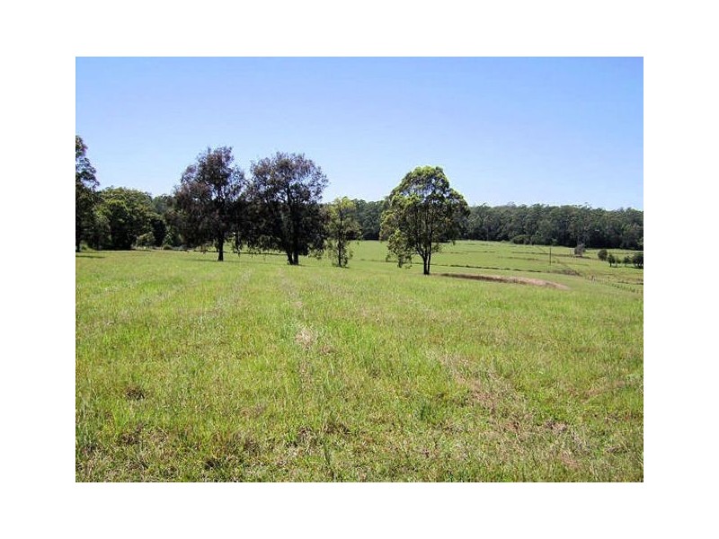 Lot 1151 Collombatti Road, Collombatti NSW 2440