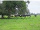 51 Croads Lane, Clybucca NSW 2440