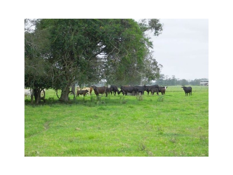 51 Croads Lane, Clybucca NSW 2440