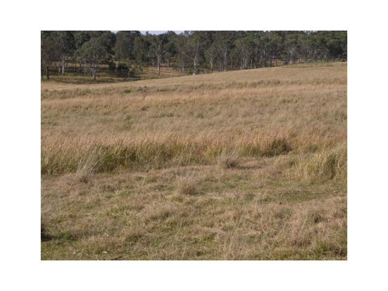 Lot 4 Willi Willi Road, Moparrabah NSW 2440