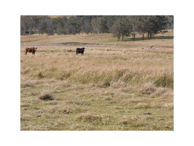 Lot 4 Willi Willi Road, Moparrabah NSW 2440