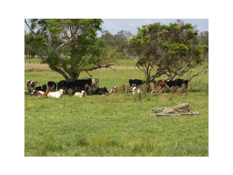 94 Left Bank Road, Kinchela NSW 2440